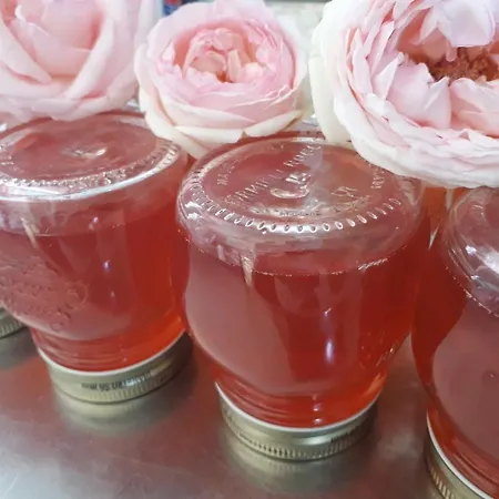 Alojamento de Turismo Rural Sancristoforo Levanto